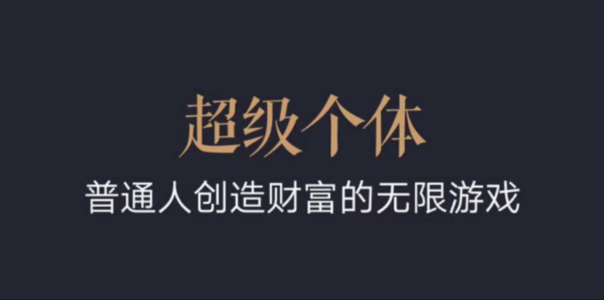 超级个体：2024-2025翻盘指南，普通人创造财富的无限游戏-课程网