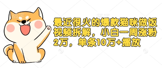 最近很火的爆款猫咪做饭视频拆解，小白一周涨粉2万，单条10万+播放(附保姆级教程)-课程网