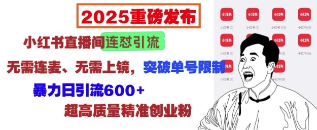 2025重磅发布：小红书直播间连怼引流，无需连麦、无需上镜，突破单号限制，暴力日引流600+-课程网