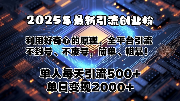 2025年最新引流创业粉，利用好奇心的原理，全平台引流，不封号、不废号，简单、粗暴-课程网