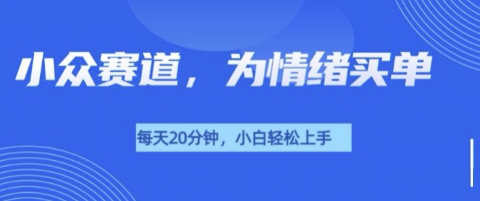 小众赛道，我的治愈系电子抱枕，让用户为情绪买单-课程网