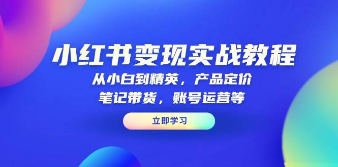 小红书变现实战教程：从小白到精英，产品定价，笔记带货，账号运营等-课程网